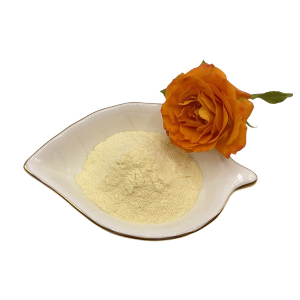 Premium Soy Protein Powder with 90%-95% Hydrolyzed Protein